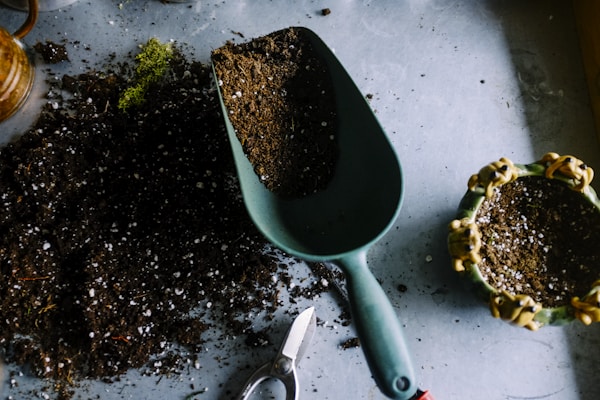 Vermicompost and organic manure