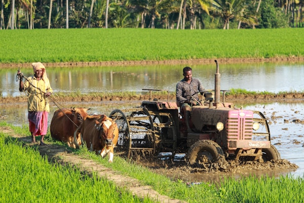 Organic farming practices