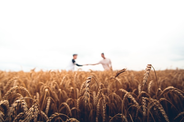 Agriculture and organic products